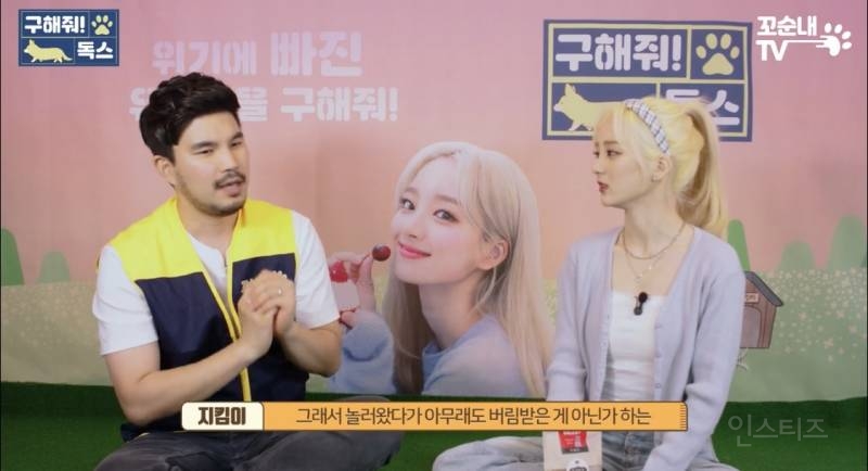 여름 휴가 가서 휴양지에 반려견 버리고 오는 사람들 | 인스티즈