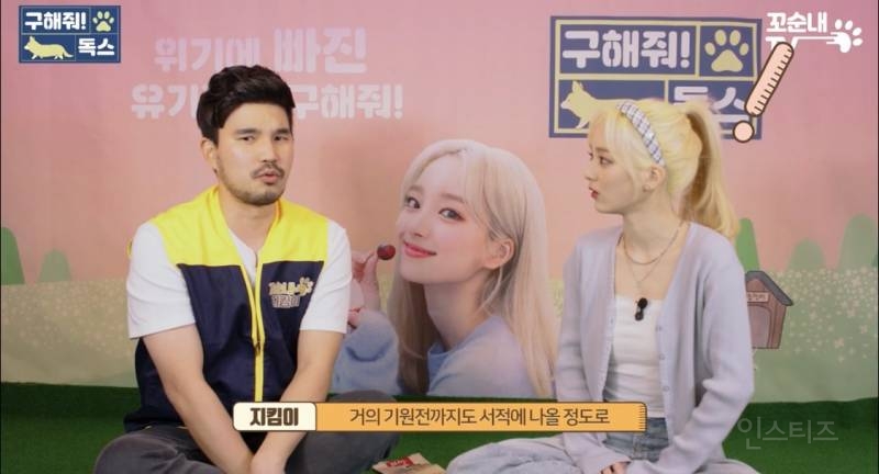 여름 휴가 가서 휴양지에 반려견 버리고 오는 사람들 | 인스티즈