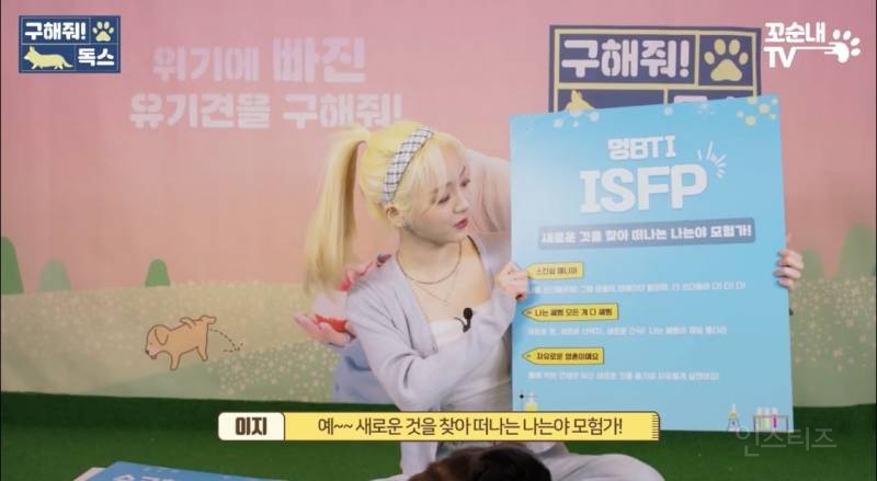 여름 휴가 가서 휴양지에 반려견 버리고 오는 사람들 | 인스티즈