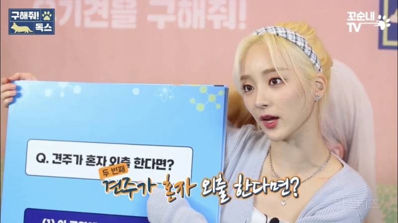 여름 휴가 가서 휴양지에 반려견 버리고 오는 사람들 | 인스티즈