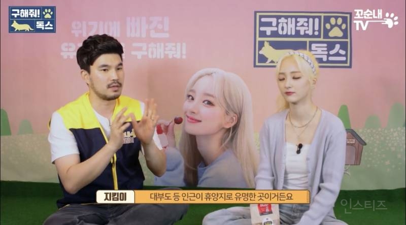 여름 휴가 가서 휴양지에 반려견 버리고 오는 사람들 | 인스티즈