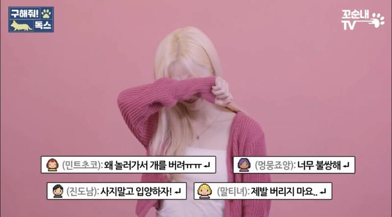 근데 이 게 진짜 맞는 것 같은 게 내 친구도 여름 휴가 가서 키우던 반려견 버리고 옴 이별 여행 이라면서 | 인스티즈