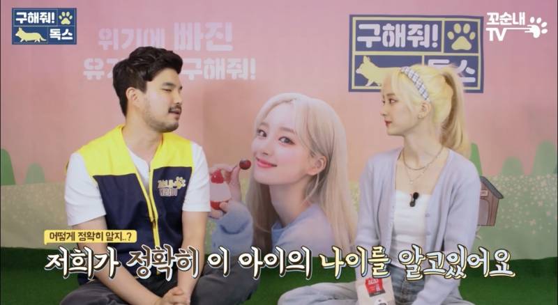 근데 이 게 진짜 맞는 것 같은 게 내 친구도 여름 휴가 가서 키우던 반려견 버리고 옴 이별 여행 이라면서 | 인스티즈