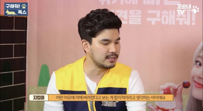 근데 이 게 진짜 맞는 것 같은 게 내 친구도 여름 휴가 가서 키우던 반려견 버리고 옴 이별 여행 이라면서 | 인스티즈