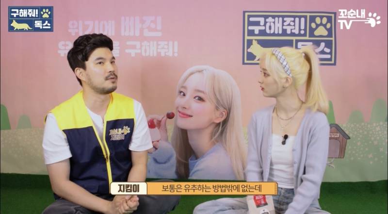 근데 이 게 진짜 맞는 것 같은 게 내 친구도 여름 휴가 가서 키우던 반려견 버리고 옴 이별 여행 이라면서 | 인스티즈