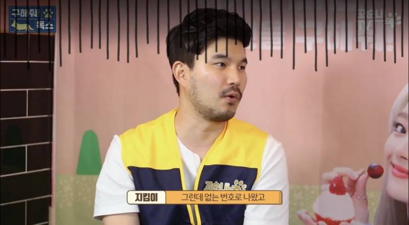 근데 이 게 진짜 맞는 것 같은 게 내 친구도 여름 휴가 가서 키우던 반려견 버리고 옴 이별 여행 이라면서 | 인스티즈