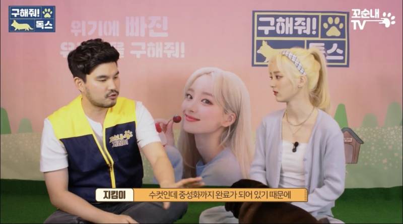 근데 이 게 진짜 맞는 것 같은 게 내 친구도 여름 휴가 가서 키우던 반려견 버리고 옴 이별 여행 이라면서 | 인스티즈