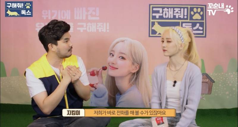 근데 이 게 진짜 맞는 것 같은 게 내 친구도 여름 휴가 가서 키우던 반려견 버리고 옴 이별 여행 이라면서 | 인스티즈