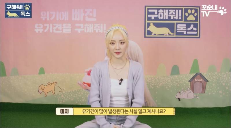 근데 이 게 진짜 맞는 것 같은 게 내 친구도 여름 휴가 가서 키우던 반려견 버리고 옴 이별 여행 이라면서 | 인스티즈