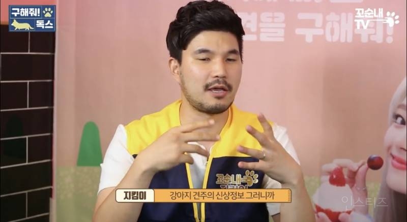 번호까지 바꾸고 휴양지에서 반려견 버리고 온 지독한 사람 | 인스티즈