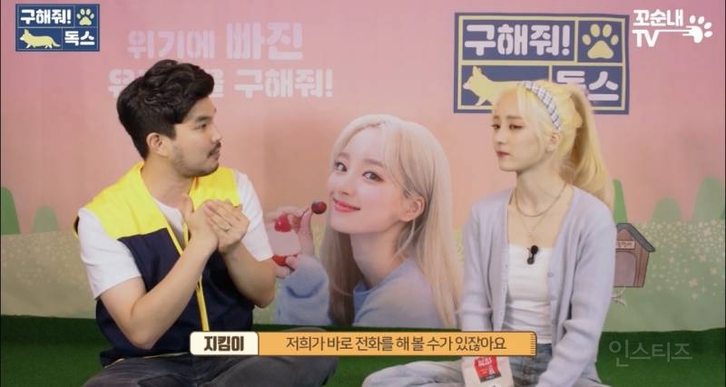 번호까지 바꾸고 휴양지에서 반려견 버리고 온 지독한 사람 | 인스티즈