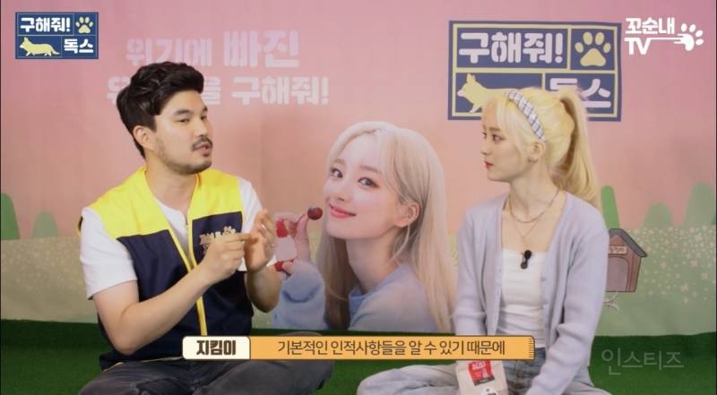 번호까지 바꾸고 휴양지에서 반려견 버리고 온 지독한 사람 | 인스티즈