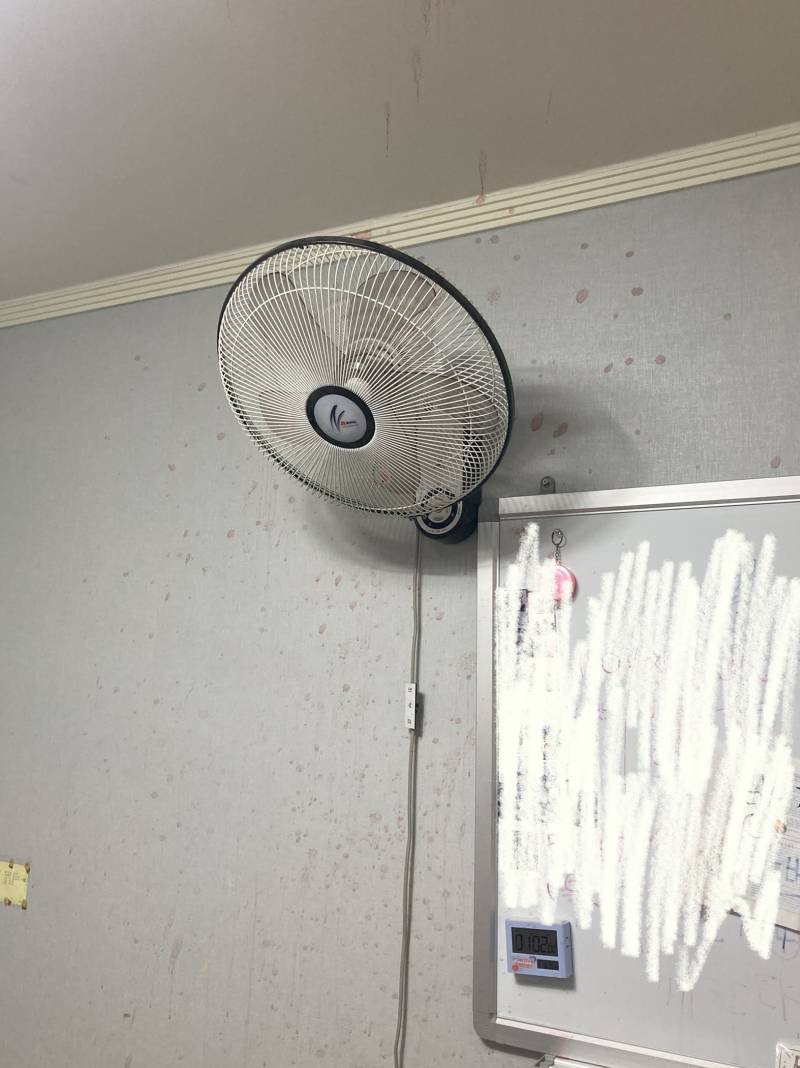 제발 이사 보내줘 아침부터 눈물남 | 인스티즈