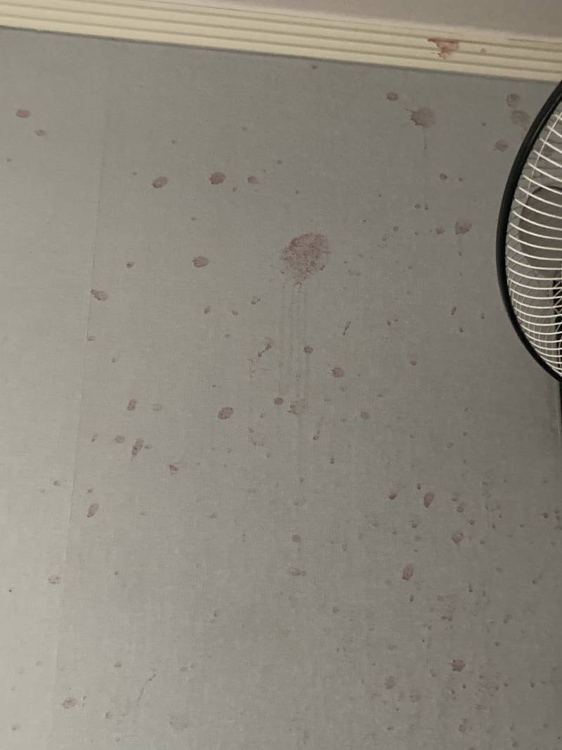 제발 이사 보내줘 아침부터 눈물남 | 인스티즈