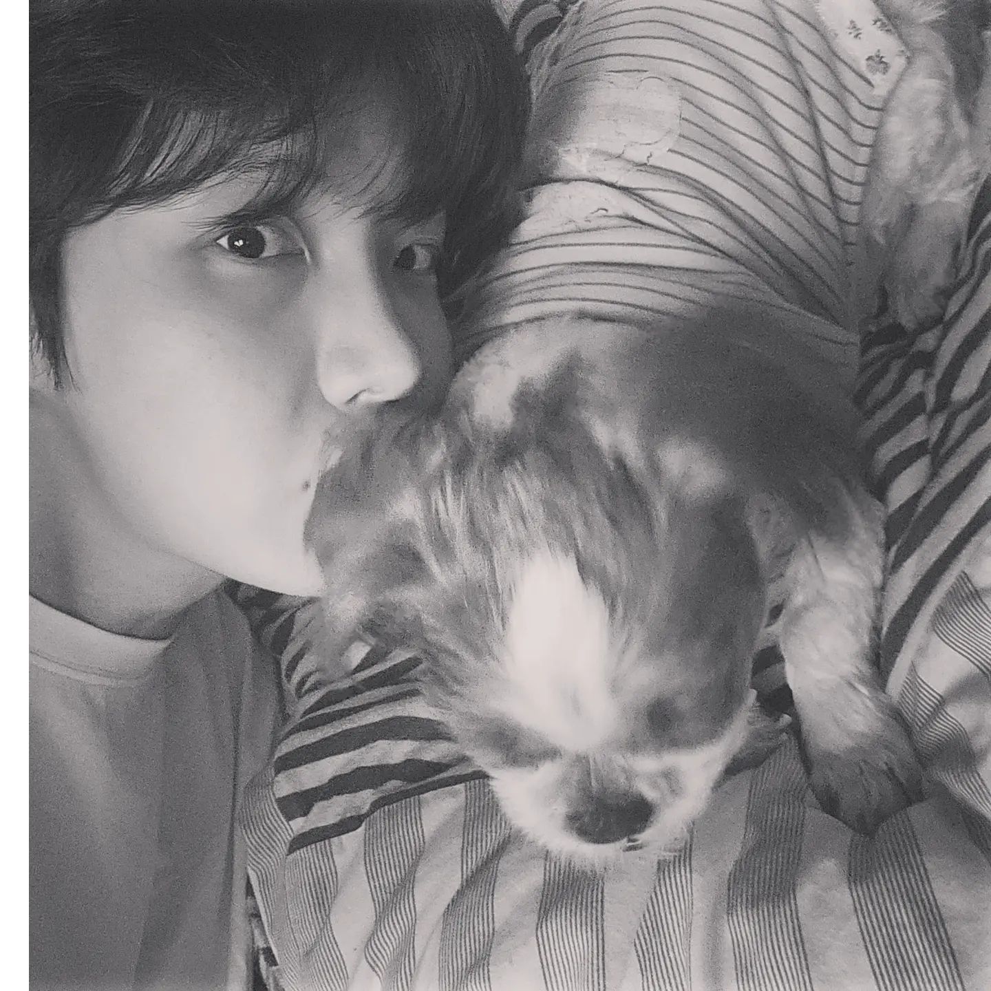 [잡담] 아아아악 방탄 제이홉 인스타에 강쥐랑 남친짤ㅠㅠㅠㅠㅠㅠㅠ | 인스티즈