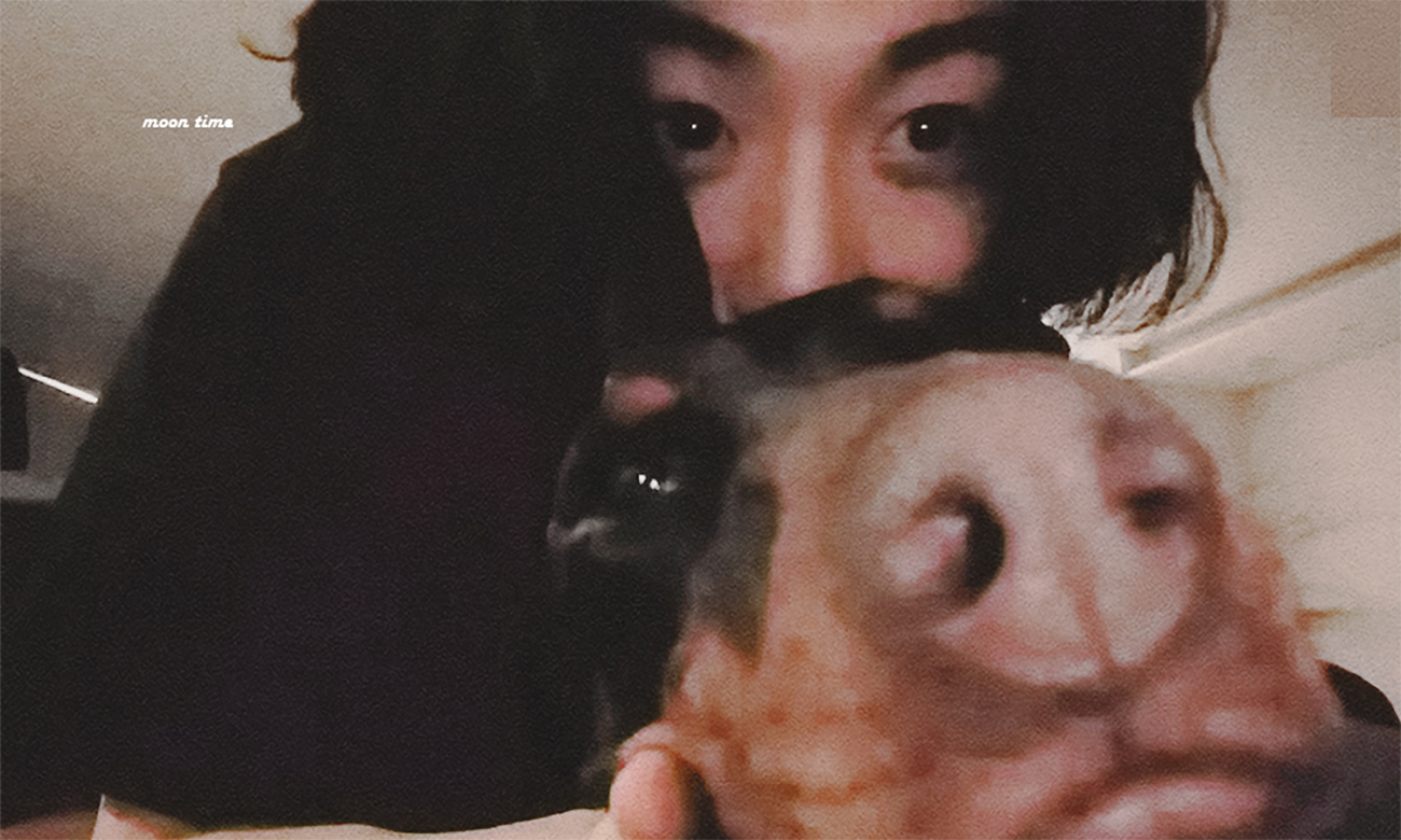[잡담] 밤이가 정국이 진짜 좋아한다 | 인스티즈
