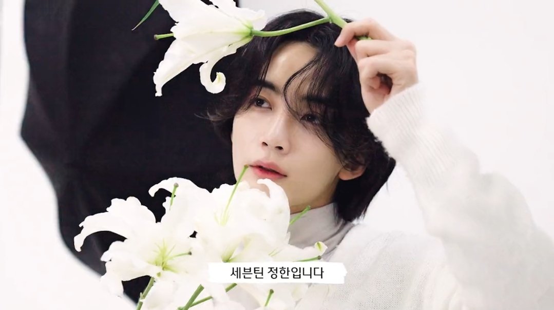 [잡담] 바닐라코의 축복이 끝이 없구나…… | 인스티즈