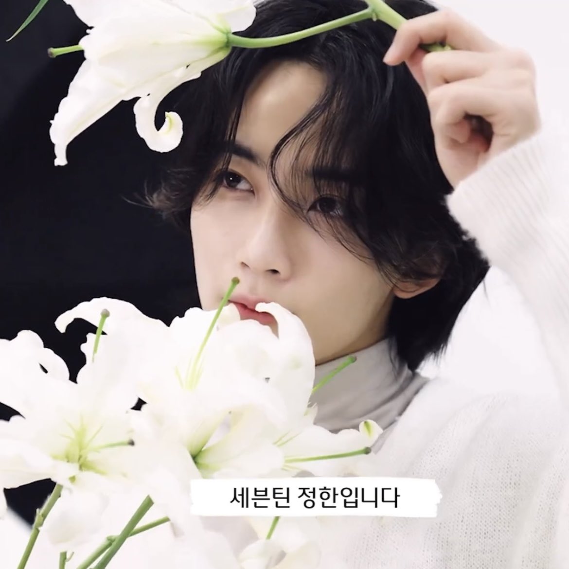 [잡담] 바닐라코는 찍어놓은 사진 얼른 다 내놓길 바랍니다 | 인스티즈