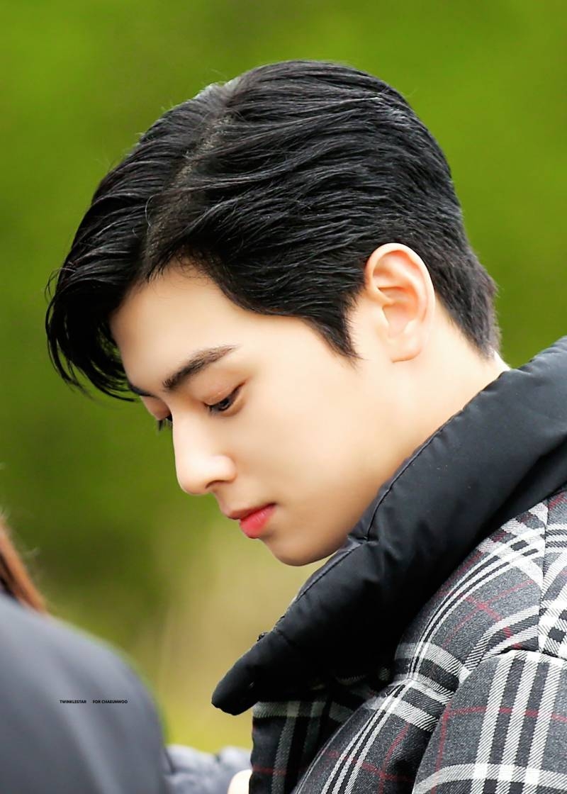 최고의 난제라는 디올 차은우 vs 버버리 차은우 | 인스티즈