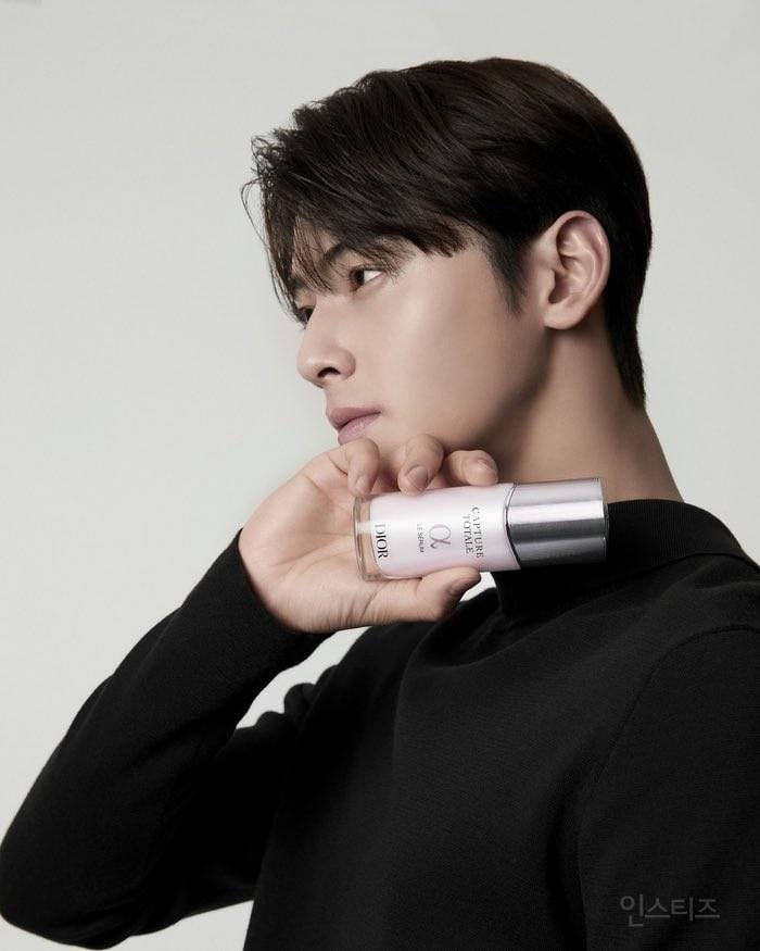 최고의 난제라는 디올 차은우 vs 버버리 차은우 | 인스티즈