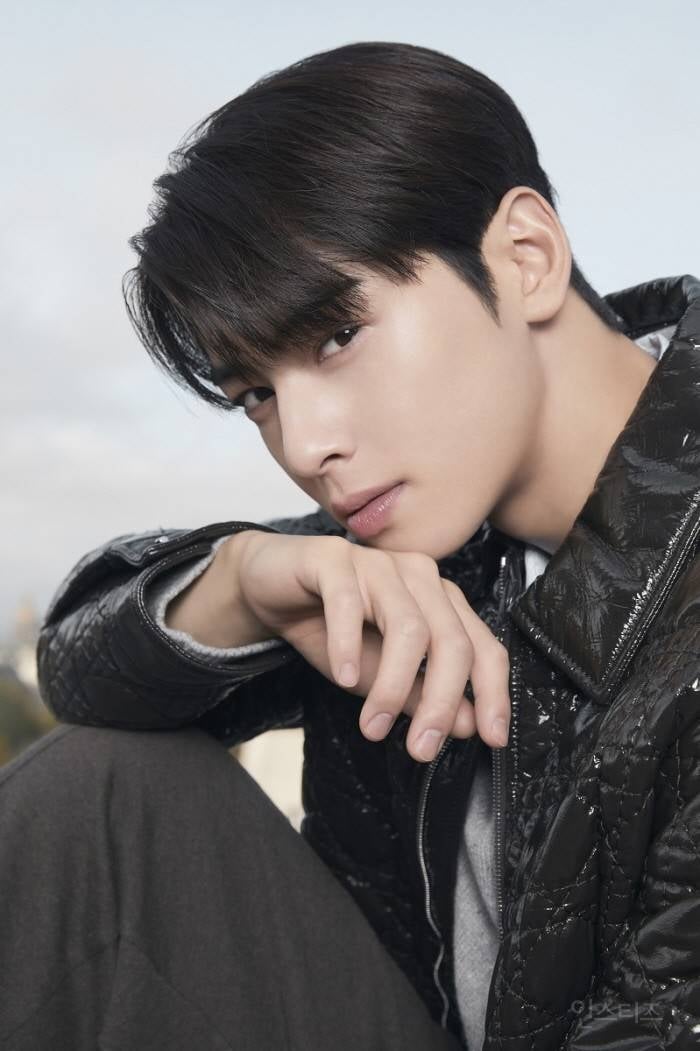 최고의 난제라는 디올 차은우 vs 버버리 차은우 | 인스티즈
