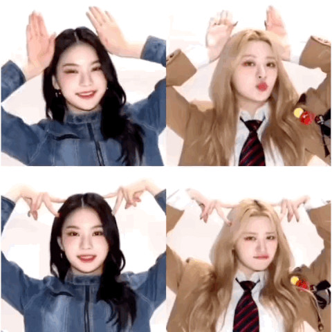 [잡담] 여우냥즈🦊🐱 | 인스티즈