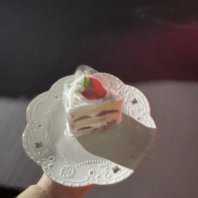 조각케익 포장해올 그릇이 마땅히 없어서 걍 접시 들고다녀옴 | 인스티즈