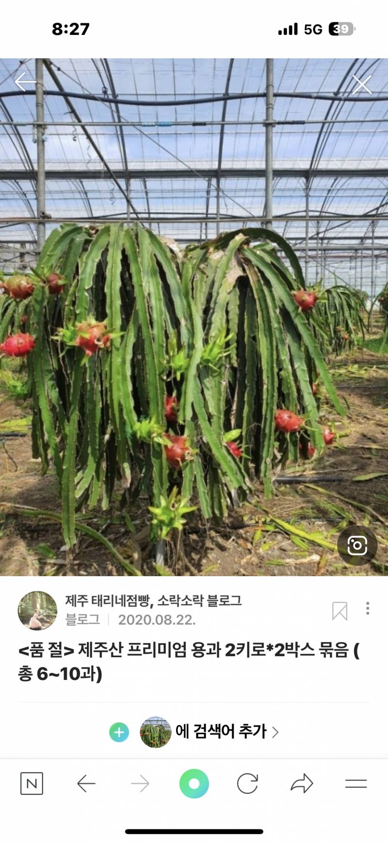 헐 얘들아 용과가 선인장에서 나는 과일이였대.. 지금 알았어 | 인스티즈