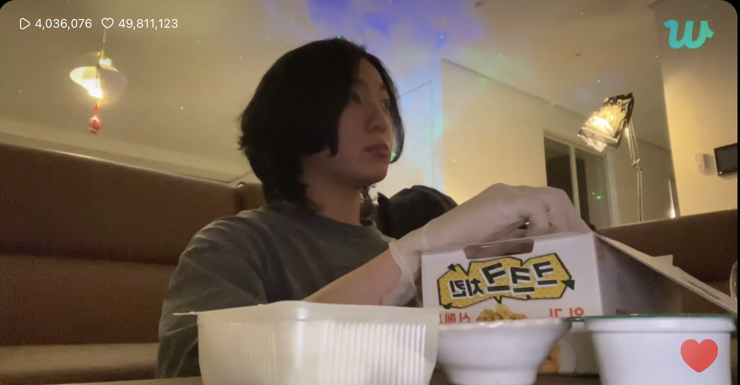[OnAir] 치킨 먹는 말티즈와 | 인스티즈
