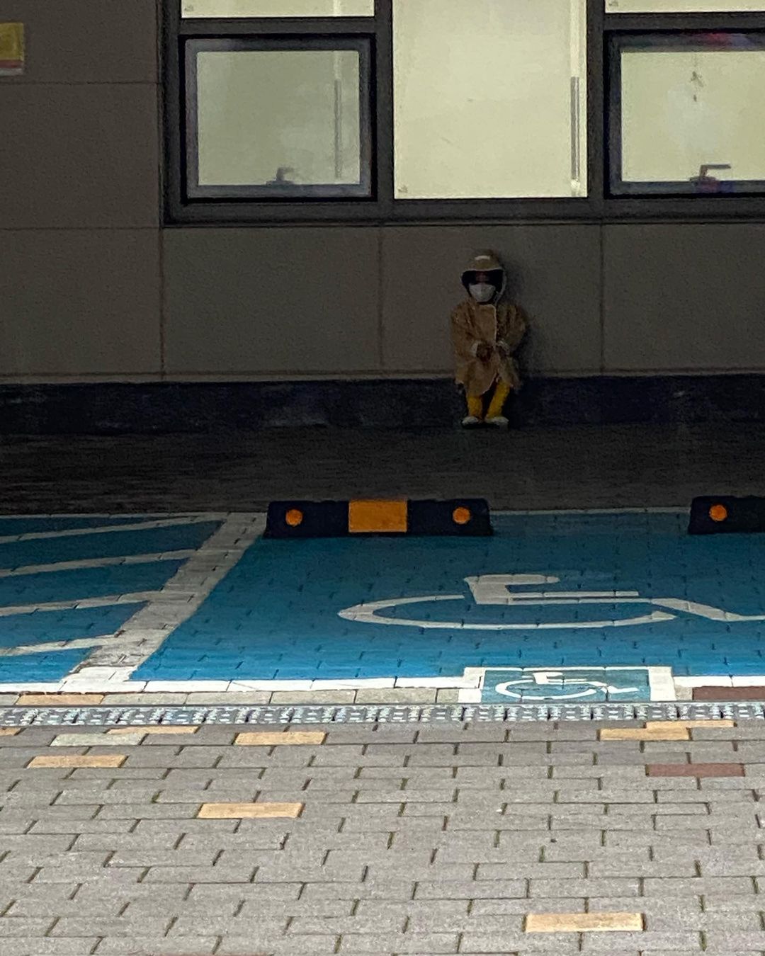 [잡담] 찐건나블리로 힐링하고 가쉐이~ | 인스티즈