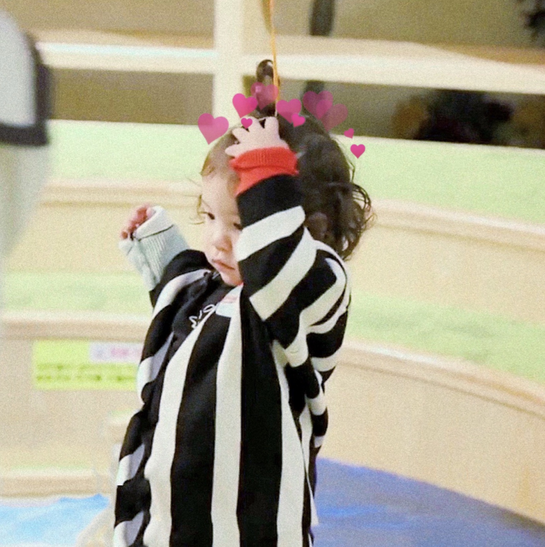 [잡담] 찐건나블리로 힐링하고 가쉐이~ | 인스티즈