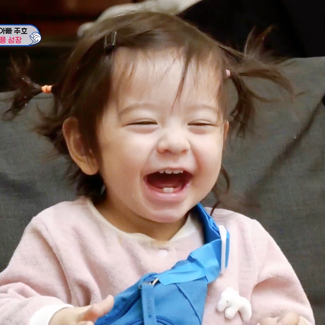 [잡담] 찐건나블리로 힐링하고 가쉐이~ | 인스티즈