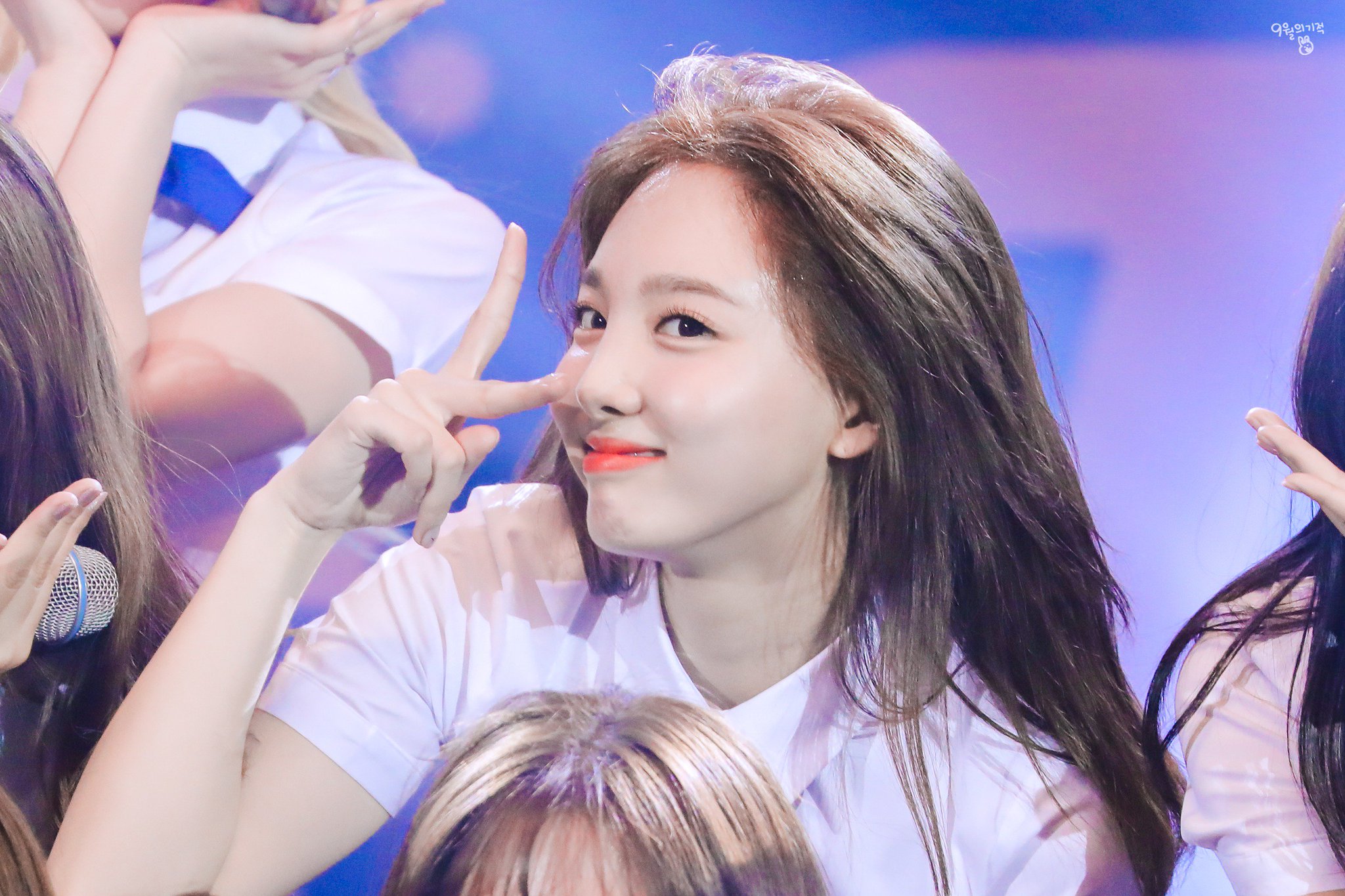 [잡담] 제왑이 발굴한 토끼굴🥕 | 인스티즈