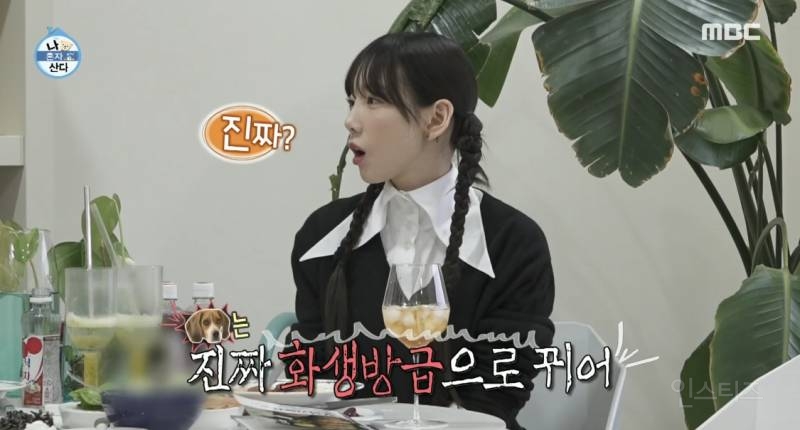 화생방급으로 방구 뀌는 비투비 이창섭 강아지 | 인스티즈