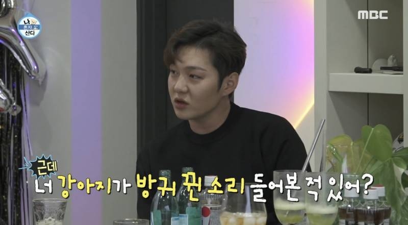 화생방급으로 방구 뀌는 비투비 이창섭 강아지 | 인스티즈