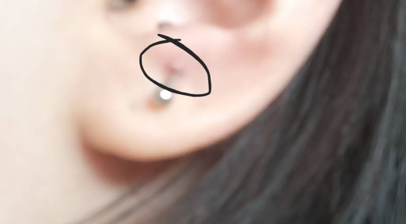 여기 피어싱 잘알 익 있어?? 이거 캘로이드야?? | 인스티즈