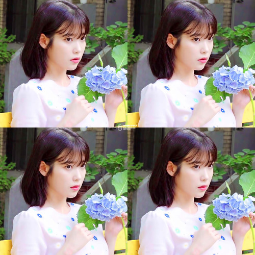 [잡담] 아이유 새 드라마 시놉 보고 계속 생각나는 앨범 | 인스티즈