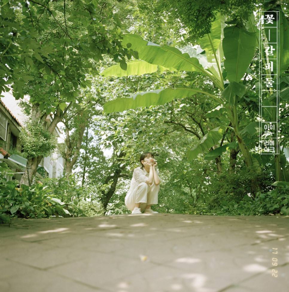 [잡담] 아이유 새 드라마 시놉 보고 계속 생각나는 앨범 | 인스티즈