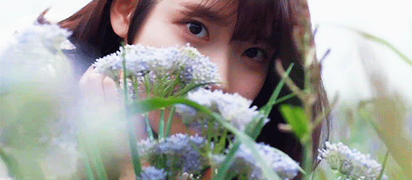 [잡담] 아이유 새 드라마 시놉 보고 계속 생각나는 앨범 | 인스티즈