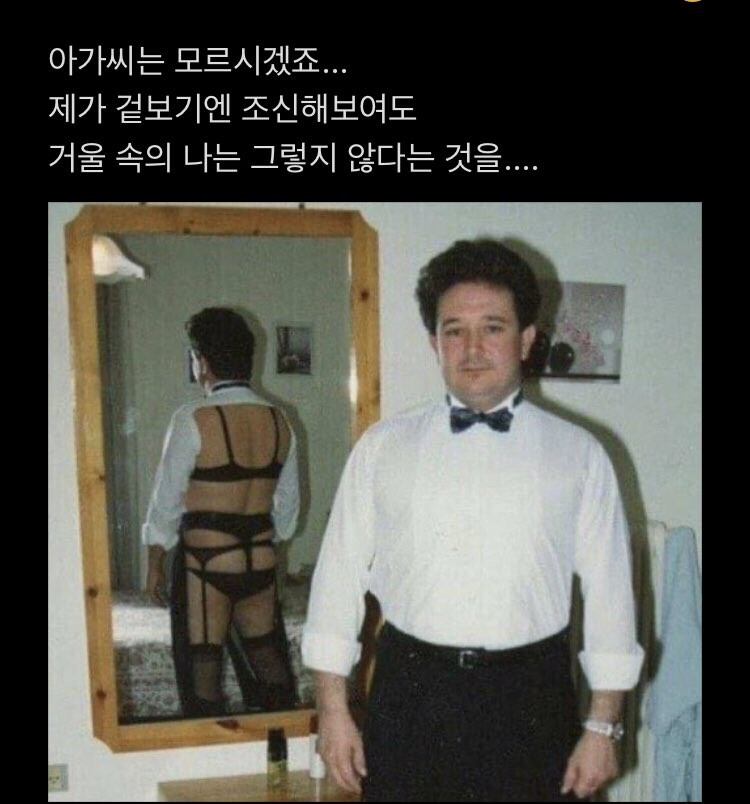 [잡담] 터래기 사진중에 이게 제일 웃김 | 인스티즈