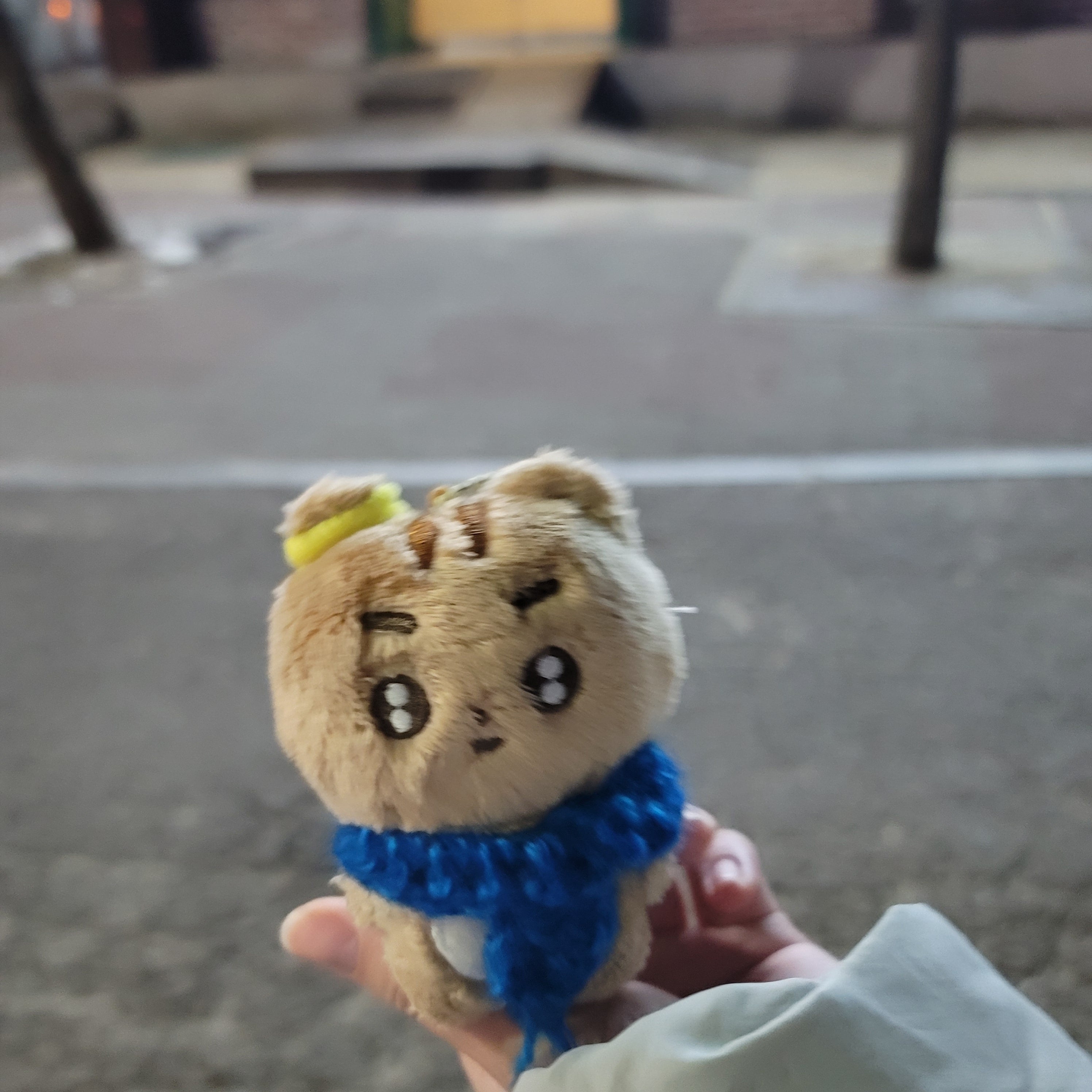 [잡담] 이거 누구야? 길에서 주웠어..... | 인스티즈