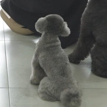 [잡담] 태연 왜 제로 목살 좋아하는지 알겠다 | 인스티즈