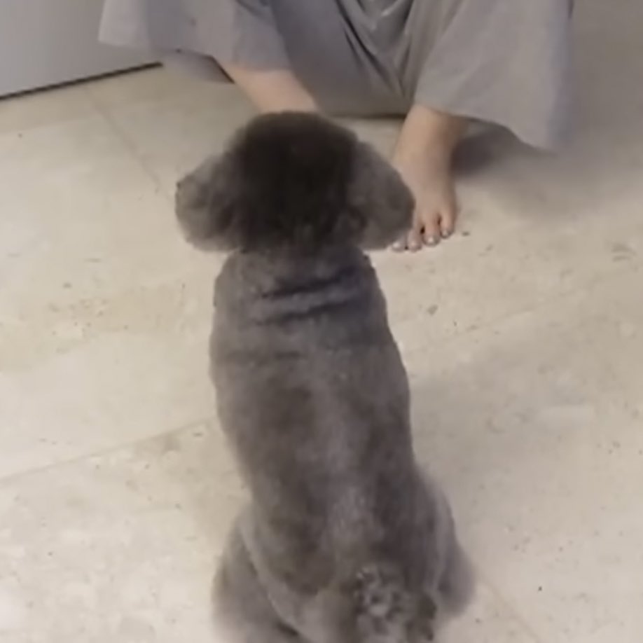 [잡담] 태연 왜 제로 목살 좋아하는지 알겠다 | 인스티즈