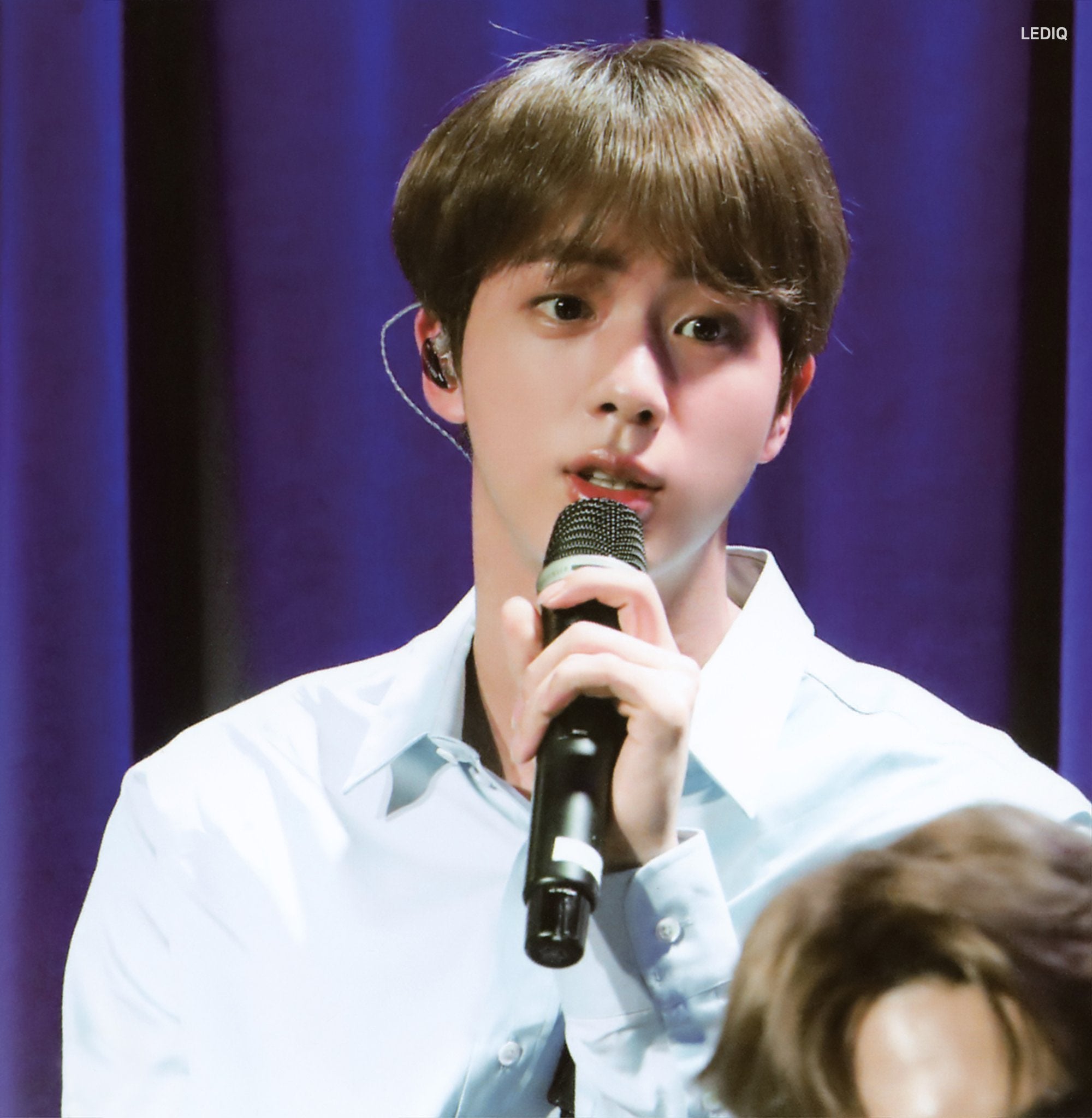 [잡담] 기안장 방탄 진 멧밭쥐 같다고 해서 찾아보니까ㅋㅋ | 인스티즈