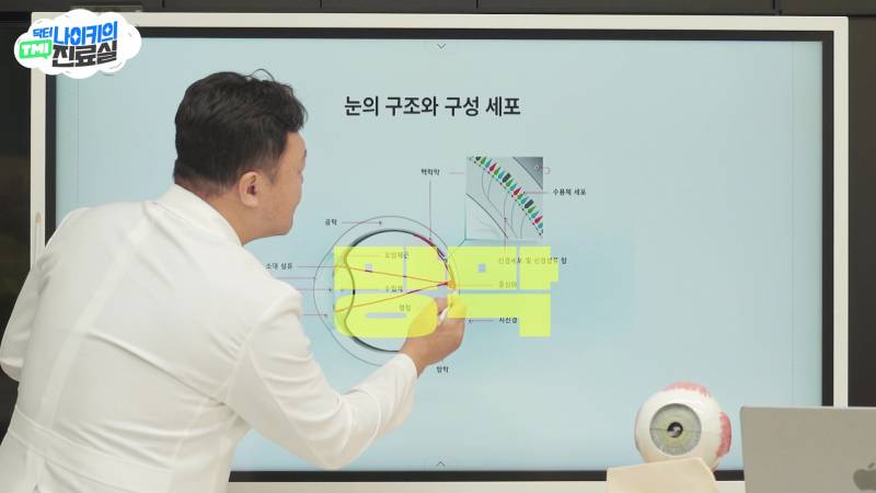 현모양처는 못됐네, 박연진. (더글로리 연진이도 색약일 가능성이 높은 이유) | 인스티즈
