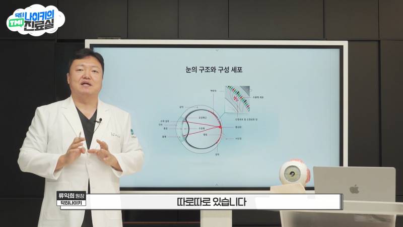 현모양처는 못됐네, 박연진. (더글로리 연진이도 색약일 가능성이 높은 이유) | 인스티즈