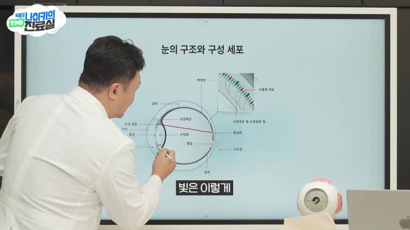 현모양처는 못됐네, 박연진. (더글로리 연진이도 색약일 가능성이 높은 이유) | 인스티즈