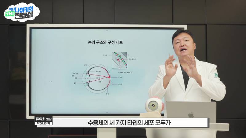 현모양처는 못됐네, 박연진. (더글로리 연진이도 색약일 가능성이 높은 이유) | 인스티즈