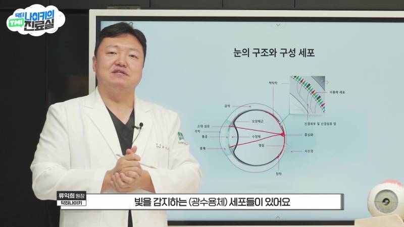 현모양처는 못됐네, 박연진. (더글로리 연진이도 색약일 가능성이 높은 이유) | 인스티즈