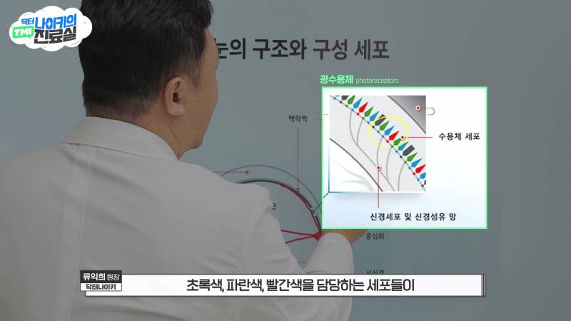 현모양처는 못됐네, 박연진. (더글로리 연진이도 색약일 가능성이 높은 이유) | 인스티즈